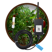 Temperature Measuring Sensor